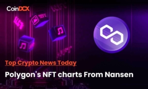 The NFT adoption On Polygon has Been on the rise but not growth - Nansen Data Says