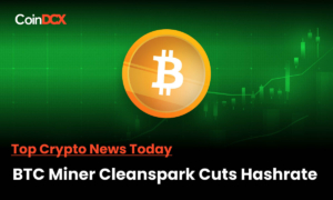 Bitcoin Miner Cuts 2023 Hashrate Outlook by Nearly 30%
