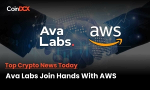 Users Can Now Launch Avalanche Nodes On Amazon Web Services
