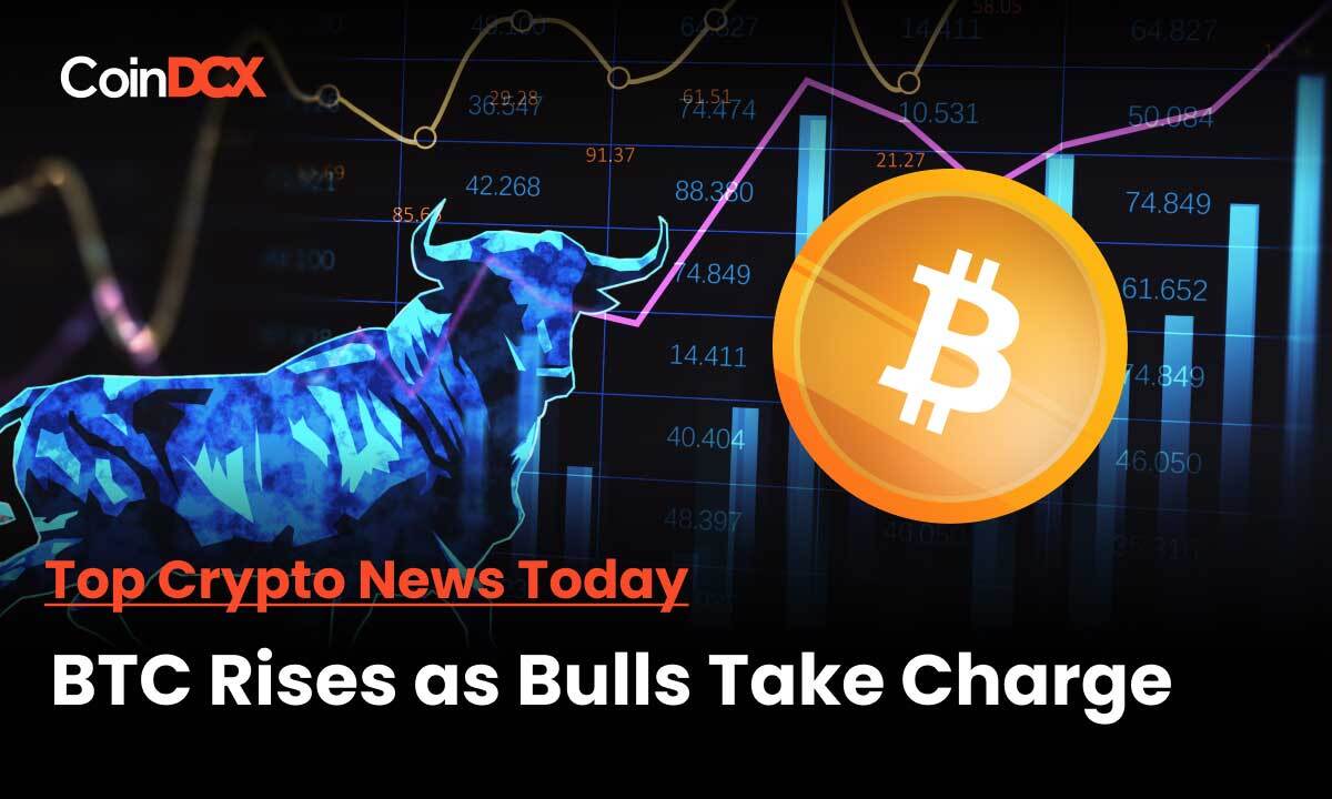 Crypto & BTC Rises As Bulls Take charge