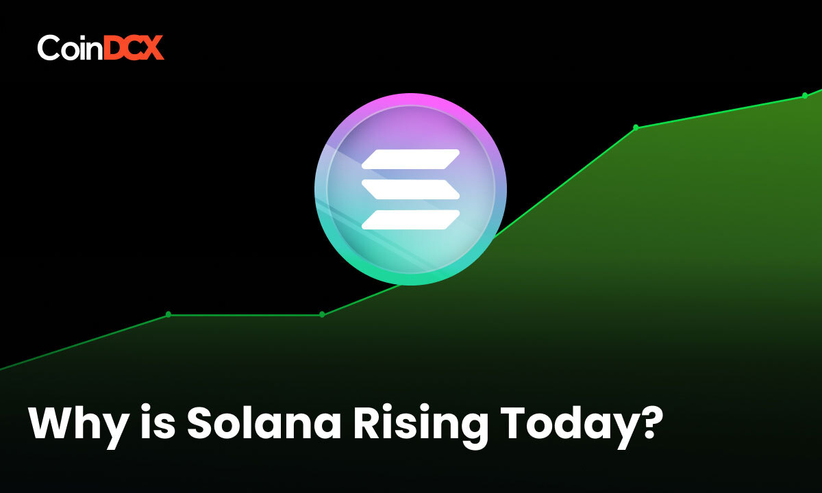 Solana Analysis