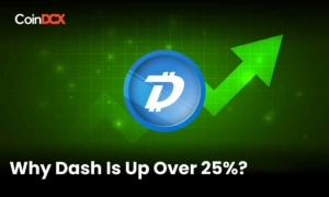 Why Dash Is Up Over 25%: Analyzing Reasons Behind DASH Price Rally