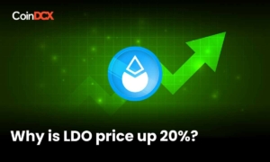 Lido DAO On-chain analysis