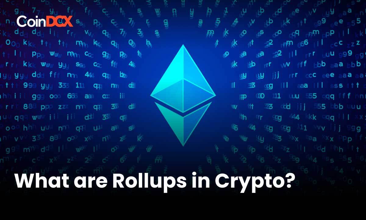 What are Rollups in Crypto?
