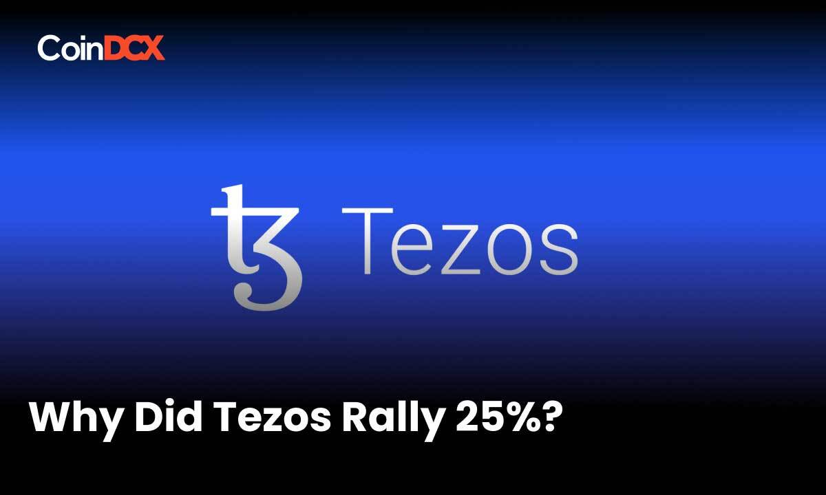 Why did Tezos(XTZ) Price Rise by 25% in the past week?