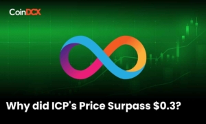 Why did Internet Computer(ICP) Price Rise Above $0.3 today?