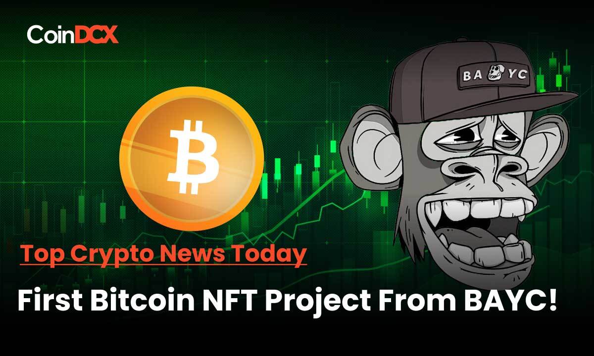 First Bitcoin NFT Project From The House of BAYC Is Here!