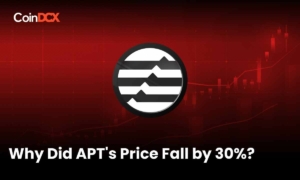 Aptos On Cahin Article