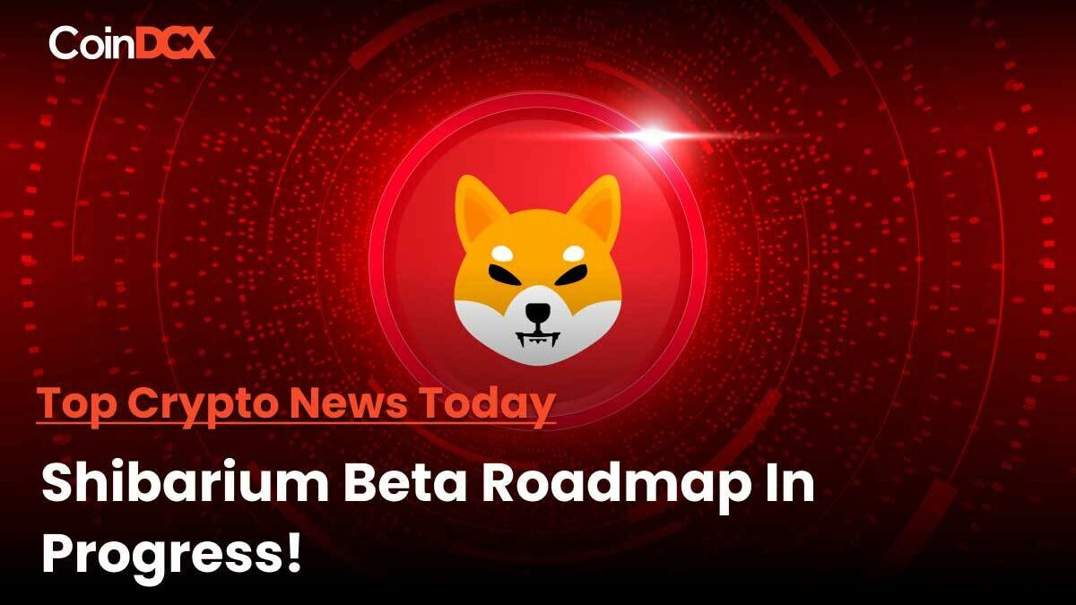 Shibarium Integration Roadmap revealed by NOWNodes prior to the Launch