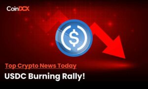 Data Says More Than 2 billion USDC Token Are Burnt In A Day!