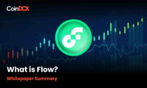 What is Flow? Whitepaper Summary