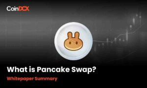What is PancakeSwap? Whitepaper Summary
