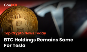 Bitcoin Holdings for Elon Musk's Tesla Remains The Same in Q1