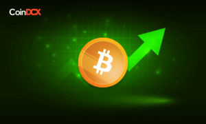 Bitcoin Price Touches $31,000 To Create New 1-Year High On The Back Of Institutional Support