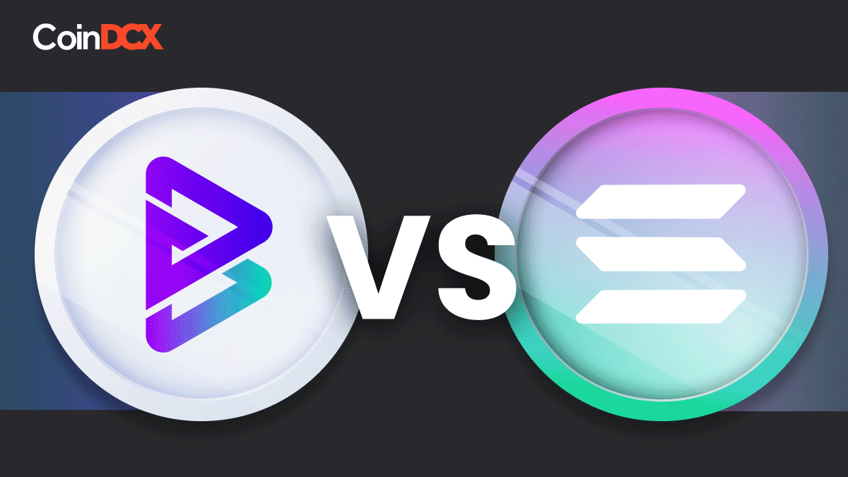 Solana vs Bitgert - A Comparative Analysis