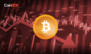 The Biggest Crypto Asset, Bitcoin Is Below the $25k Mark For The First Time In Three Months