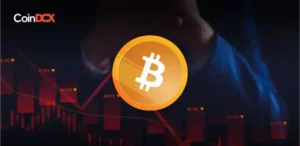 Crypto Daily Roundup: Bitcoin Trades Below $30,500, Driving the Entire Markets Lower!