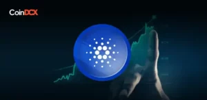 Cardano's Hydra Pay Set to Revolutionize Micropayments in Web3 Ecosystem