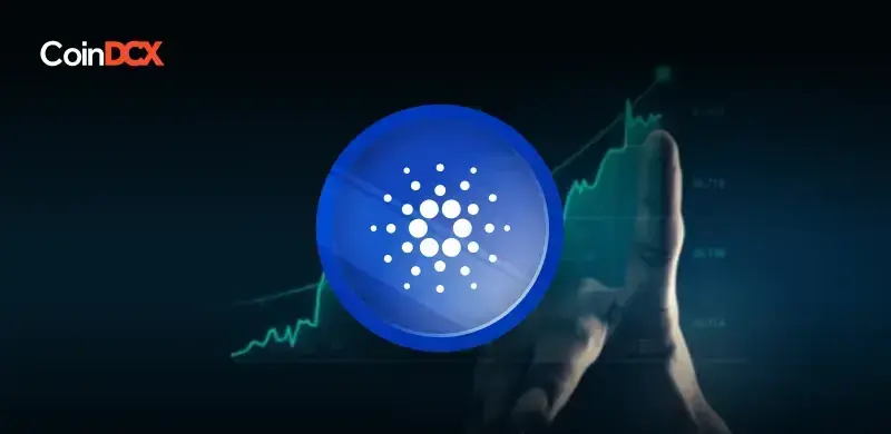 Cardano's Hydra Pay Set to Revolutionize Micropayments in Web3 Ecosystem