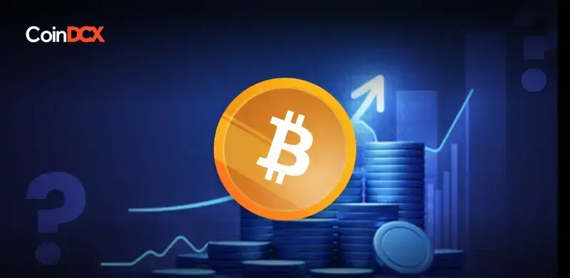 Should You Invest in Bitcoin Before Halving?